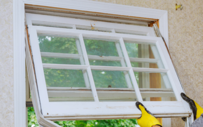 6 Must-Know Tips for Choosing the Perfect Replacement Windows