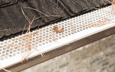 Do You Know the Key Advantages of Installing Gutter Guards?