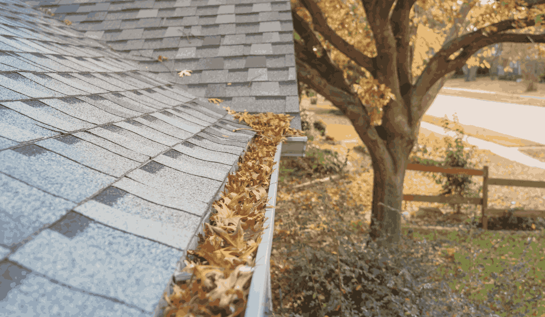 How Often Should You Clean Your Gutters?