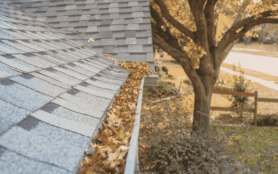 How Often Should You Clean Your Gutters?