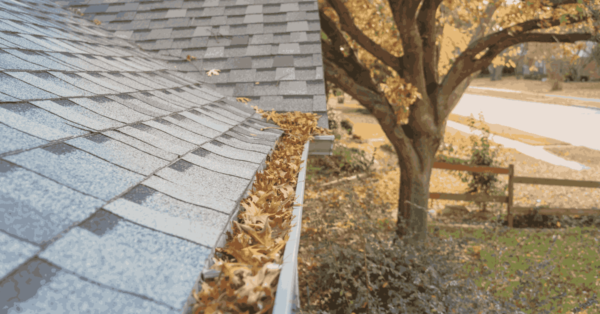 How Often Should You Clean Your Gutters | Gutter Cleaning