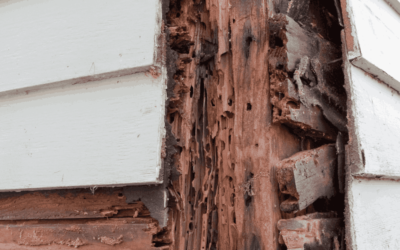 The Importance of Replacing Rotted Wood Before Painting Your House