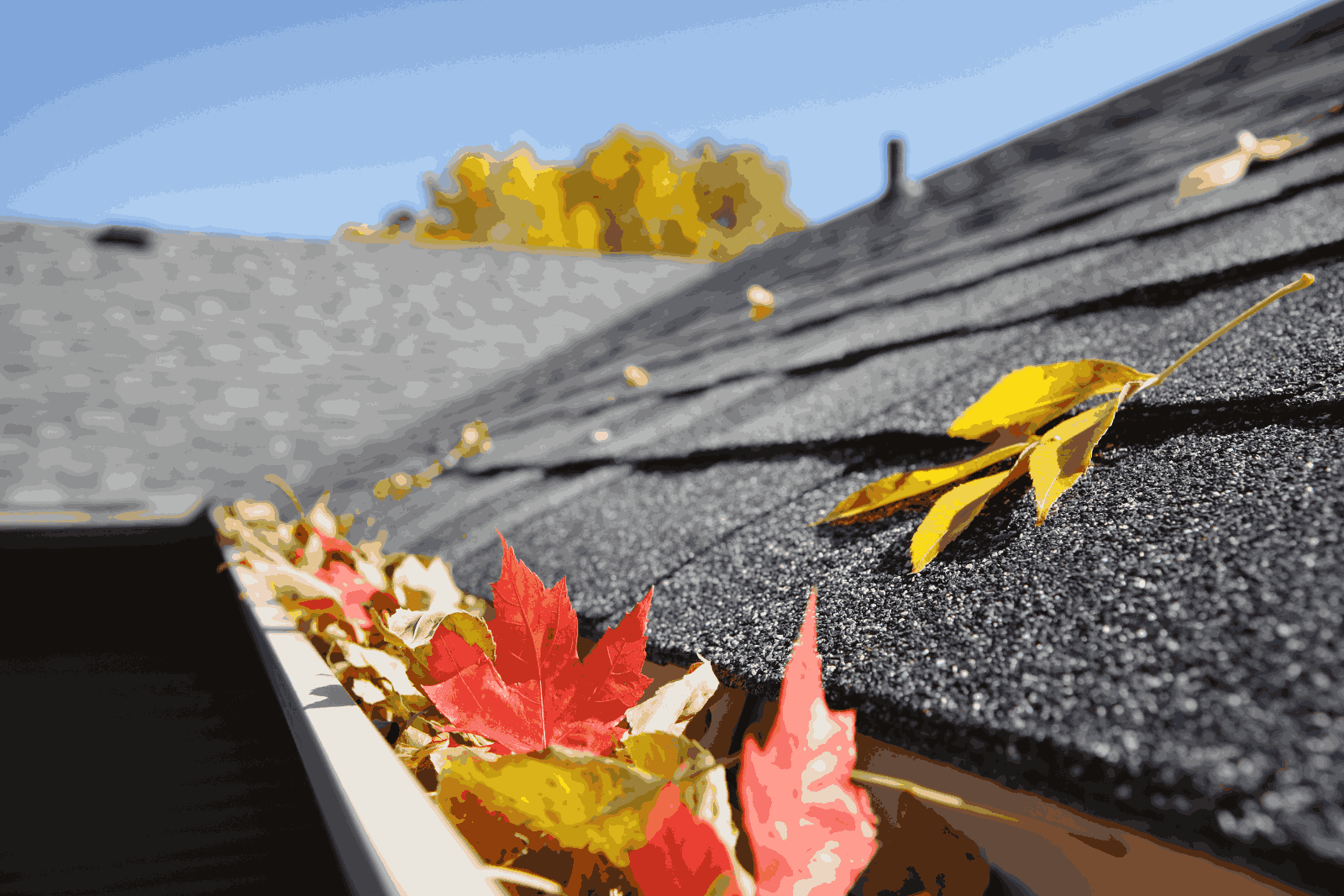 Fall Gutter Cleaning
