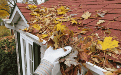 Why Should You Clean Your Gutters This Fall, and How Can You Do It Easily?