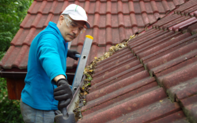 Should You Clean Your Gutters Yourself or Hire a Pro? Here’s What You Need to Know