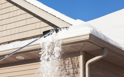 What Every Homeowner Needs to Know About Roof Care After Winter?