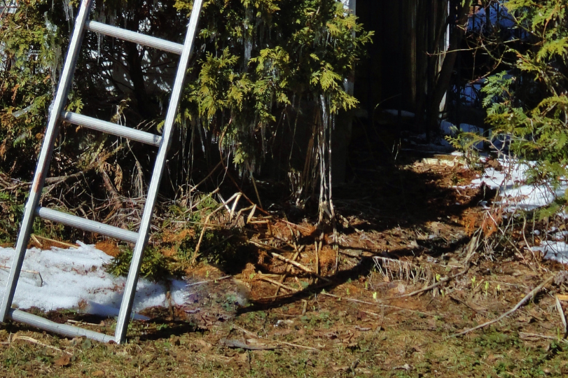 10 Common Mistakes People Make with Ladders While Cleaning Gutters