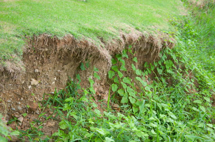 Signs Your Gutter Is Ready for Replacement