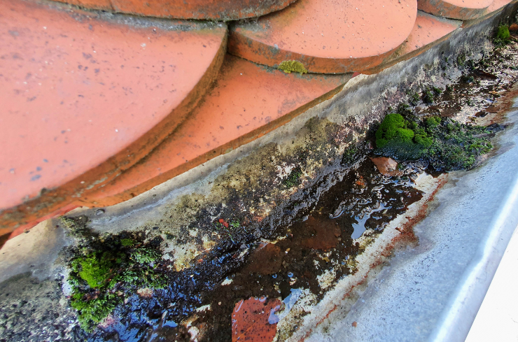 Signs Your Gutter Is Ready for Replacement