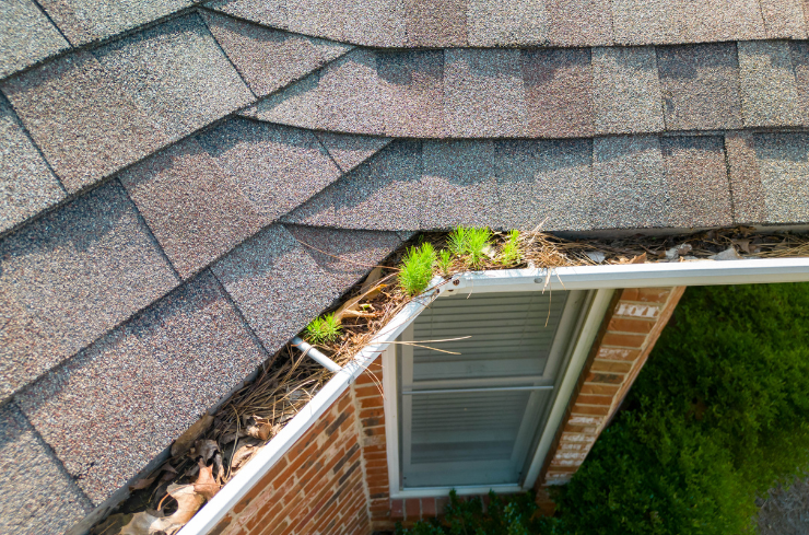 Signs Your Gutter Is Ready for Replacement