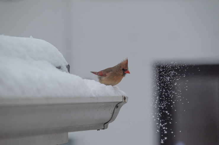 Winter The Importance of Exterior Home Maintenance
