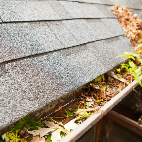 Why Fall Leaves Are Your Gutters’ Worst Enemy
