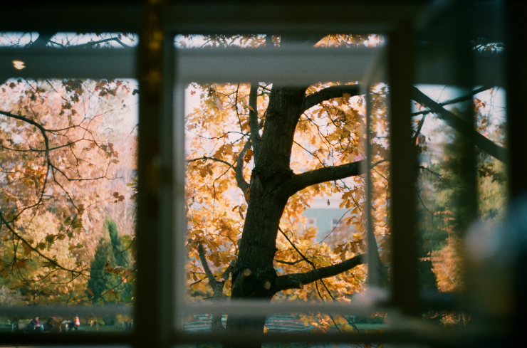 Fall_ Preparing for Winter Rain, Wind, and Sunshine: Seasonal Care Tips for Your Windows