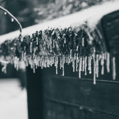 Why Fall Leaves Are Your Gutters’ Worst Enemy