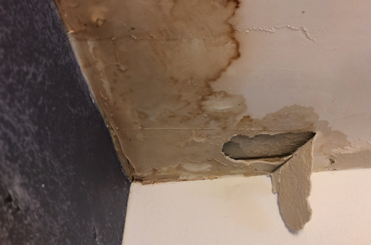 Interior Damage Why Ignoring Small Roof Leaks Can Lead to Bigger Problems
