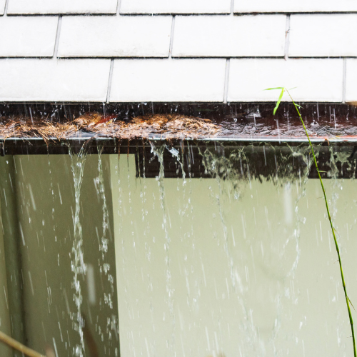 Why Fall Leaves Are Your Gutters’ Worst Enemy
