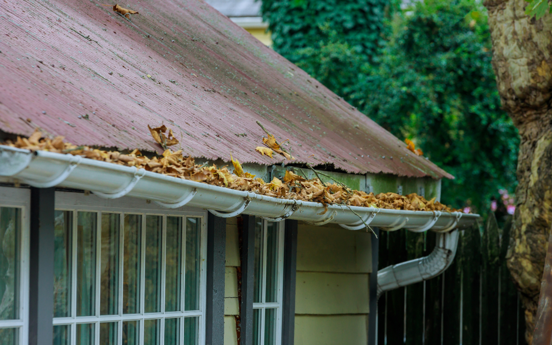 Why Fall Leaves Are Your Gutters’ Worst Enemy | Fall Leaves and Gutters