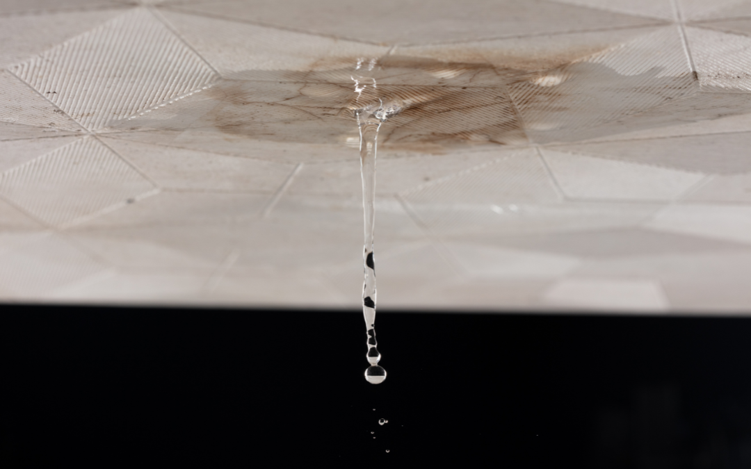 Why Ignoring Small Roof Leaks Can Lead to Bigger Problems Why Ignoring Small Roof Leaks Can Lead to Bigger Problems