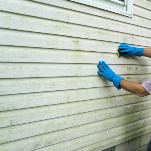 1. Clean Regularly 5 Simple Ways to Stop Mold from Growing on Your Home’s Siding