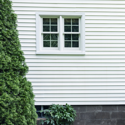4. Trim Back Vegetation 5 Simple Ways to Stop Mold from Growing on Your Home’s Siding