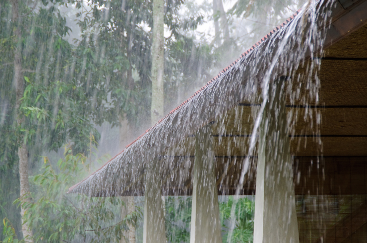 Why Ignoring That Sagging Gutter or Cracked Soffit Could Cost You Later