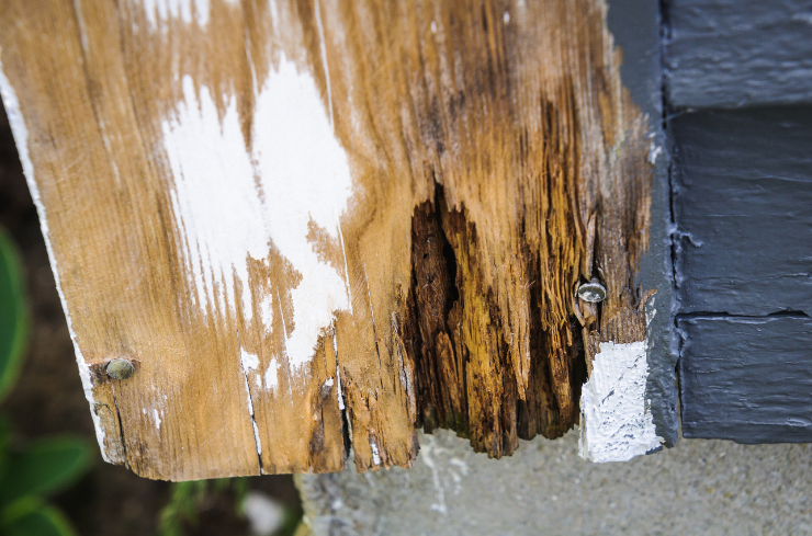 Wet rot Why Summer Is the Perfect Time to Replace Rotted Wood Around Your Home