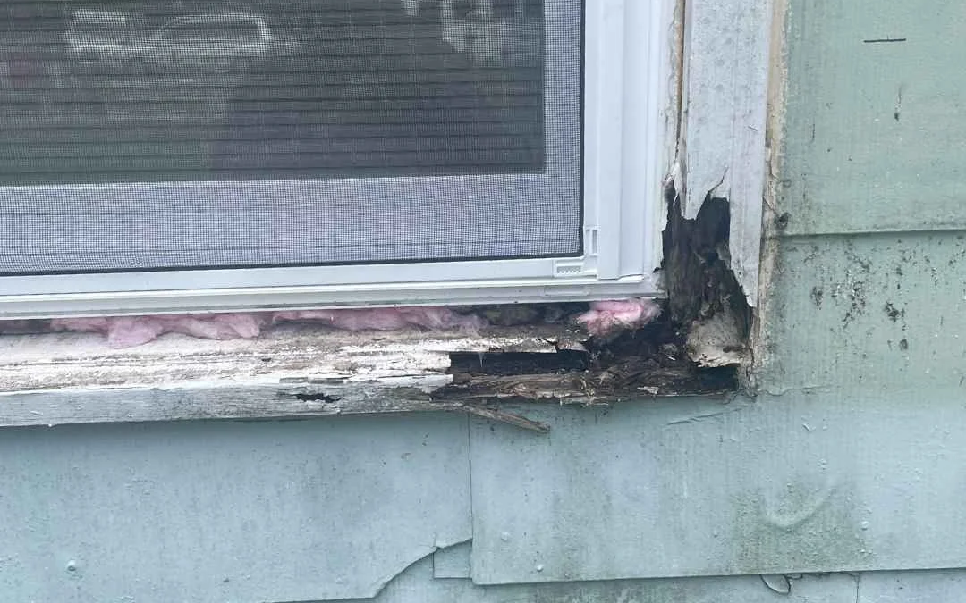 Why Summer Is the Perfect Time to Replace Rotted Wood Around Your Home