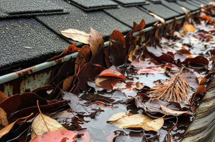 Rain, Snow, and Storms: Why Your Gutters Must Be Ready Year-Round