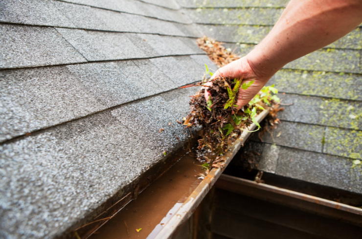 Rain, Wind, and Heat: How Weather Impacts Your Fascias and Soffits