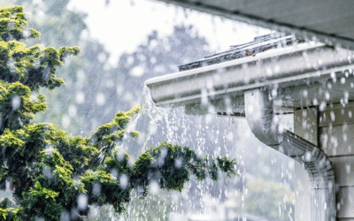 Rain, Snow, and Storms: Why Your Gutters Must Be Ready Year-Round